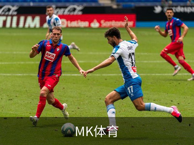 关于MK体育